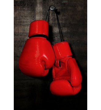Боксерские перчатки lorem ipsum